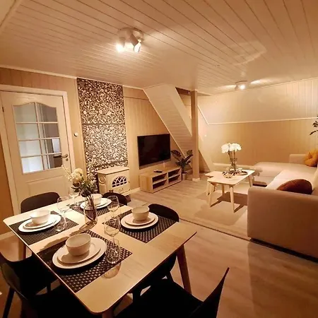 Beautiful 3-bedroom Near City Center Apartment *